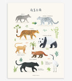 LIVING EARTH - Kinderposter - Aziatische dieren