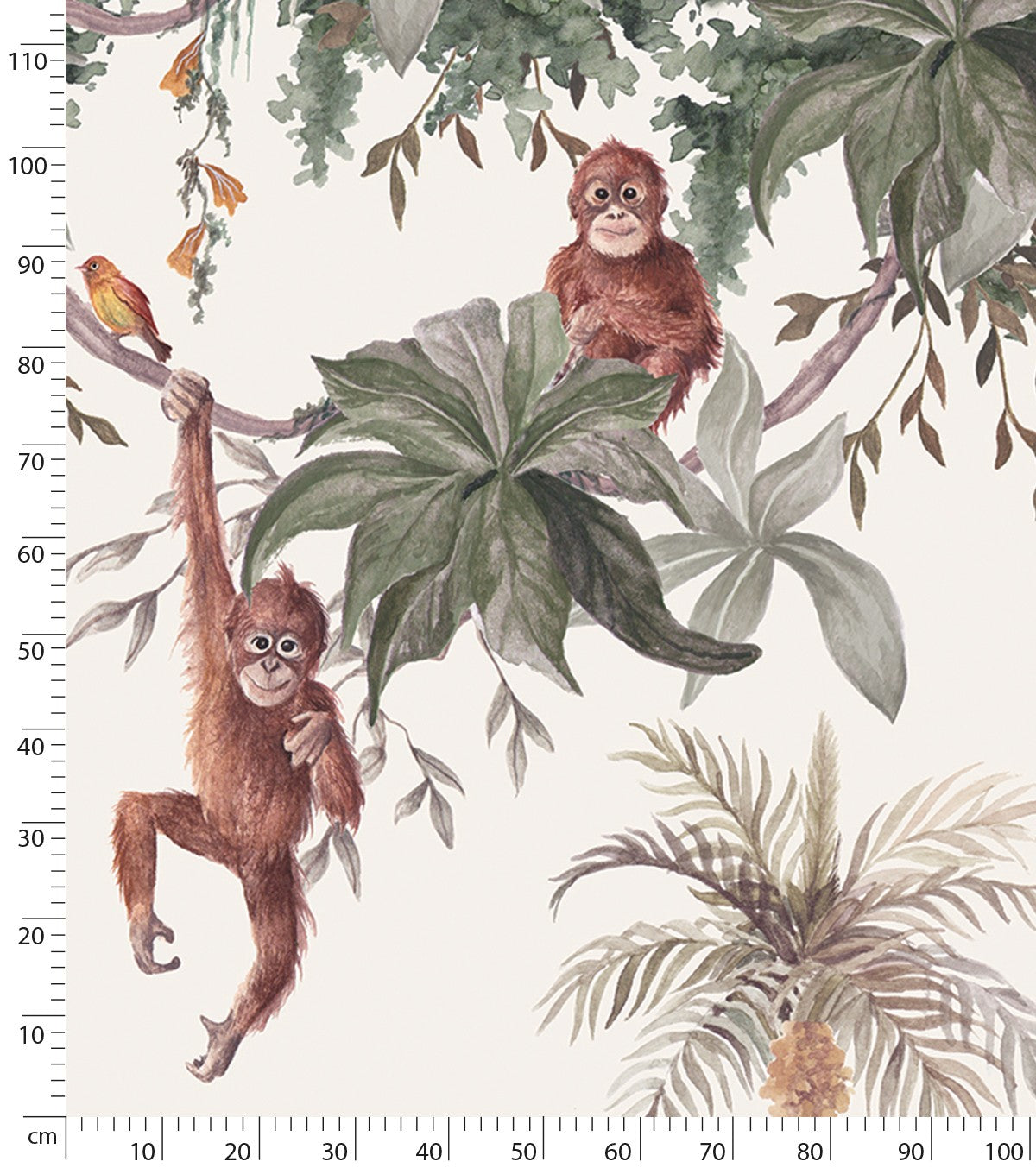 UTAN - Panoramisch behang - De apen