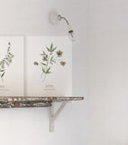 WELLINGTON - Set van 2 Posters - Bloemen, plantkunde
