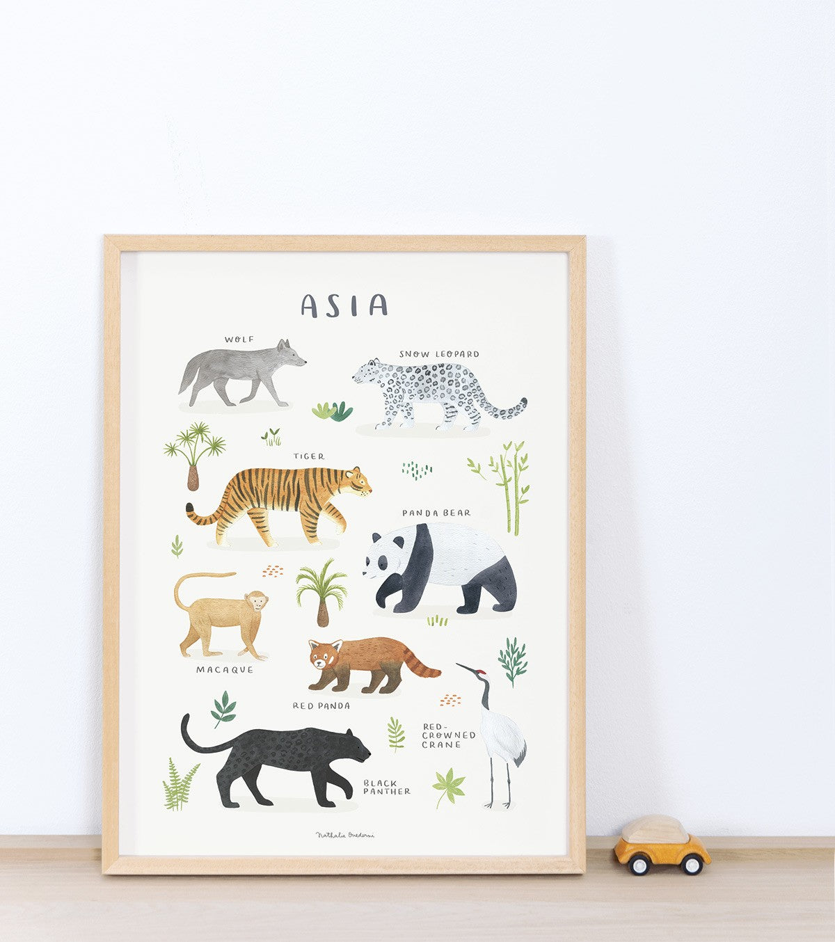 LIVING EARTH - Kinderposter - Aziatische dieren